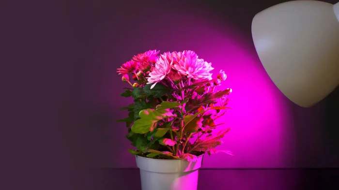 Светильник для растений