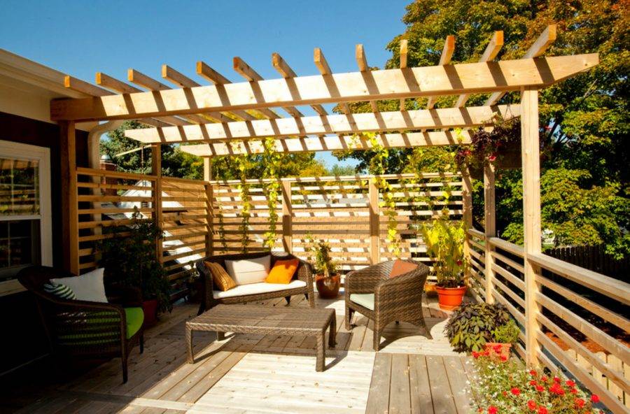 Пергола на даче своими руками: свежие идеи дизайна и пошаговое руководство